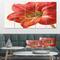 Designart - Vivid Red Amaryllis - Floral & Botanical Canvas Artwork